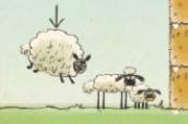 3 ovejas